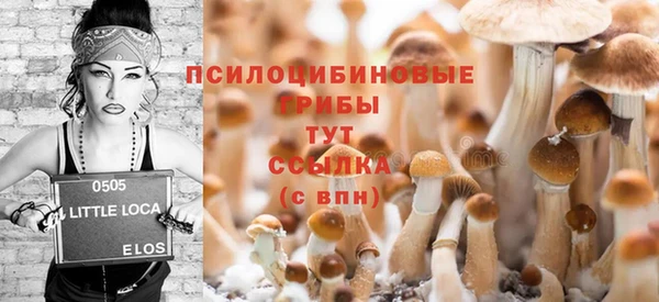молекула духа Балабаново